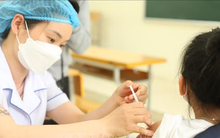 Bộ Y tế có Tờ trình Chính phủ liên quan đến dịch COVID-19