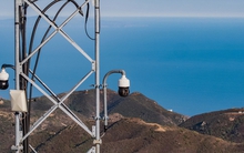 Dùng trí tuệ nhân tạo đối phó cháy rừng