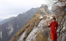 Cô gái quyết tâm sống ẩn cư, chưa "đắc đạo thành tiên" thì phải vội vàng trở về thành phố vì... không trả nổi tiền thuê nhà trên núi