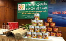 Lãi vỏn vẹn 1 triệu đồng trong năm 2022, một công ty bán thực phẩm đông lạnh ở Lào Cai lập liên doanh bán ô tô điện Trung Quốc, thậm chí sẽ lắp ráp tại VN từ 2025?