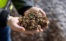 Từng nhường lại thị trường khổng lồ, châu Âu giờ 'lên cơn sốt tìm vàng', chạy đua hòng bắt kịp Trung Quốc