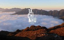 Chi phí đi "nóc nhà" Yên Bái ngắm mùa hoa chi pâu đẹp lịm tim, đắm chìm giữa biển mây Tà Chì Nhù