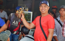 Độc lạ chợ "đấu giá cua" mỗi sáng ở miền Tây