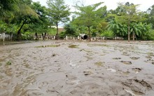 Cận cảnh bùn ùn ùn tràn vào nhà dân ở Đà Nẵng