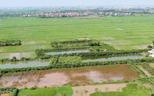 Siêu lợi nhuận từ đầu tư đất nông nghiệp: “Có thể tăng giá hàng trăm lần trong 10 năm?”