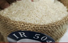 Giá gạo xuất khẩu giảm 35 USD/tấn