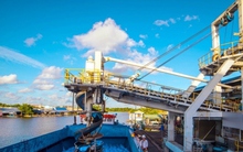 Xuất khẩu vào CPTPP: 60% sản phẩm chưa tận dụng ưu đãi thuế bằng 0