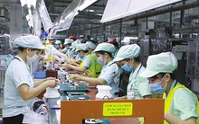 Việt Nam có thể làm chủ công nghiệp bán dẫn