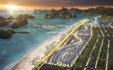 Dự án lớn bậc nhất Cẩm Phả Green Dragon City quy mô 100ha sắp gia nhập thị trường