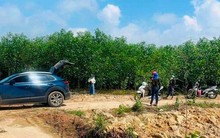 Có 2 tỉ đồng nên mua đất ở đâu lúc này?