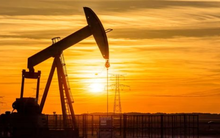 Nga bất ngờ tuyên bố cấm xuất khẩu nhiên liệu, loạt ông lớn này đang "mừng thầm" vì trở thành nguồn cung thay thế, xuất khẩu liên tục lập kỷ lục