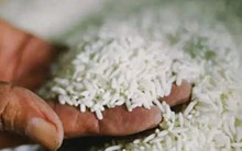 Ấn Độ sẽ hạ giá sàn xuất khẩu gạo