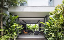 Ngôi nhà tối giản sở hữu hai khu vườn xanh mát