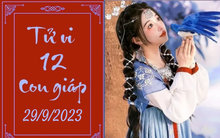 Tử vi vui 12 con giáp hôm nay ngày 29/9/2023: Mùi vui vẻ, Ngọ sáng suốt