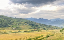 Mùa vàng mời gọi du khách tới “miền cổ tích” Ngọc Chiến