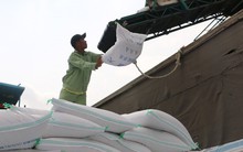 Giá gạo xuất khẩu Việt Nam vẫn neo cao kỷ lục