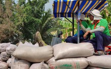 Philippines áp trần giá gạo, nhà nhập khẩu đòi hủy đơn hàng, gạo Việt Nam sẽ ra sao?