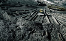 Một mặt hàng của Việt Nam bất ngờ được quốc gia châu Âu mua mạnh tay với giá đắt đỏ, xuất khẩu tăng đột biến hơn 6.000%