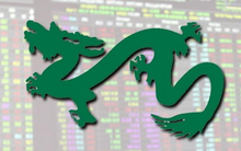 Quỹ tỷ USD của Dragon Capital đẩy mạnh giải ngân ngay trước nhịp hồi phục của VN-Index