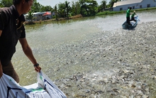 Tìm cách đẩy vốn tín dụng cuối năm