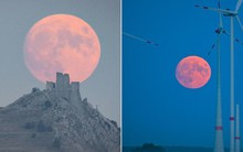 Loạt ảnh ấn tượng về siêu trăng cuối cùng của năm 2023 tỏa sáng đêm Trung thu