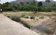 Ôm 7 bất động sản vùng ven nhưng vẫn rơi vào cảnh “không nhà, không xe”, người phụ nữ ân hận vì quyết định nhất thời