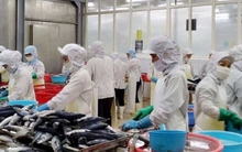 Qua 8 tháng, nông lâm, thủy sản xuất siêu 6,72 tỷ USD