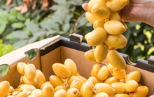 Mặt hàng sang chảnh giới nhà giàu Dubai quý như vàng bất ngờ đổ bộ chợ Việt Nam, giá cực rẻ