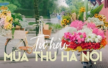Gánh hoa đặc trưng của Thủ đô năm nay phủ sóng mọi miền, những người kinh doanh thức thời từ trend này nói một điều khiến người Hà Nội tự hào