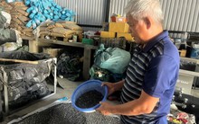 Chuyện của người 'bê tông hóa' rác thải nhựa thành vật dụng đẹp mắt