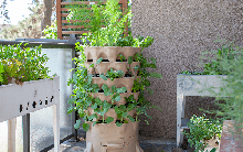 Những ý tưởng thiết kế vườn rau ấn tượng dù không gian nhỏ hẹp