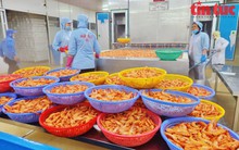 Linh hoạt điều kiện vay để hỗ trợ doanh nghiệp ‘khỏe’, có sẵn đơn hàng