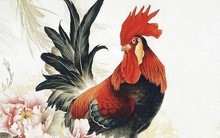 Từ cuối tháng 7 Âm lịch là lúc 4 con giáp này may mắn vượt bậc, sự nghiệp thăng hoa, dễ phát tài phát lộc