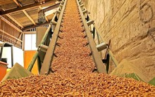 Một mặt hàng thay thế than đang được người Nhật Bản cực ưa chuộng: chi gần 200 triệu USD để nhập khẩu trong nửa đầu năm 2023, Việt Nam xuất khẩu đứng thứ 2 thế giới