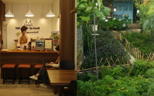 Làm sao để không “vỡ mộng' khi bỏ việc về Đà Lạt mở quán cafe?