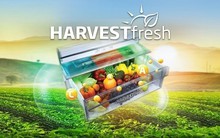 Tuyệt chiêu để có những bữa cơm nhà nhanh gọn, thơm ngon