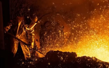 Một mặt hàng của Việt Nam được quốc gia châu Mỹ mạnh tay “gom hàng” với giá rẻ bất ngờ: Xuất khẩu tăng mạnh hơn 1.000% trong 7 tháng đầu năm, giá giảm hơn một nửa