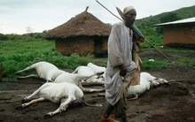 Thảm họa lặng thầm từng khiến 1.700 người, 3.500 gia súc tử vong chỉ sau 1 giờ, danh tính "sát nhân vô hình" gây sửng sốt