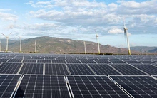 79/85 dự án năng lượng tái tạo chuyển tiếp đã gửi hồ sơ đàm phán với EVN