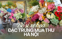 Đằng sau xu hướng mang "đặc sản" mùa thu Hà Nội đến khắp vùng miền, những người làm xe hoa tiết lộ chi phí khủng nhưng vẫn nói "làm vì đam mê"