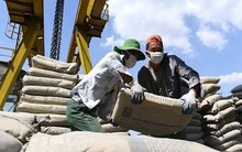 Một loại vật liệu xây dựng đang được Indonesia thu mua với giá rẻ kỷ lục: xuất khẩu tăng mạnh gần 400 lần, Việt Nam sở hữu sản lượng 100 triệu tấn/năm