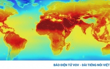 Năm 2023 có thể là năm nóng nhất trong lịch sử loài người