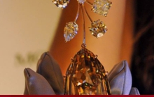 Đang chơi đùa cạnh bãi rác, cô bé vô tình thấy 'vật thể' giá nghìn tỷ đồng