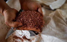 Trung Quốc bất ngờ hạn chế xuất khẩu một mặt hàng quan trọng do giá tăng vọt: Là mặt hàng quốc gia này xuất khẩu top đầu thế giới, Việt Nam nhập khẩu hàng triệu tấn trong 7 tháng đầu năm