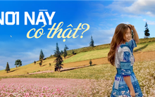 Các gia đình săn tìm thảo nguyên hồng, ngỡ nơi xa nhưng nằm trên cung đường khám phá vùng địa đầu Tổ quốc