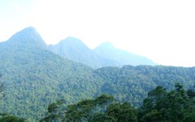 TS-KTS Đào Ngọc Nghiêm: Cần cân nhắc kỹ 2 dự án lấy hơn 100ha Vườn quốc gia Tam Đảo