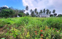 Một doanh nghiệp trúng đấu giá khu đất vàng ven sông Hương với giá ‘khủng’