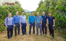 LPBank dành 6.000 tỷ đồng tín dụng xanh cho miền Trung - Tây Nguyên