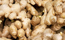 Ăn gừng có giúp tăng cường sinh lý nam giới?