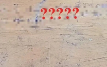 Đi họp phụ huynh, ông bố ở Hà Nội sửng sốt khi đọc hai câu thơ trên bàn: Tuyệt đối đừng để mẹ thấy!